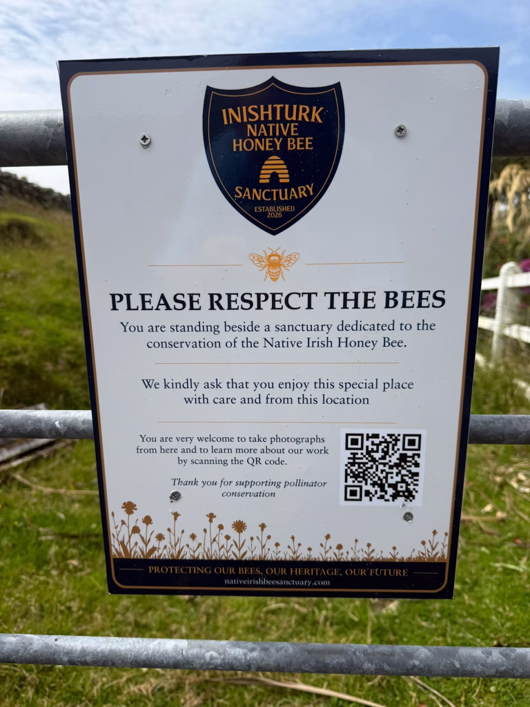 Why the bees matter